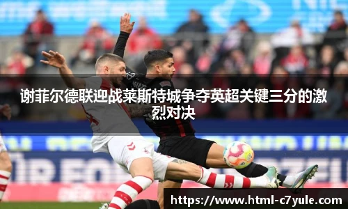 谢菲尔德联迎战莱斯特城争夺英超关键三分的激烈对决